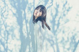 Hikaru Takahashi Transparency.
